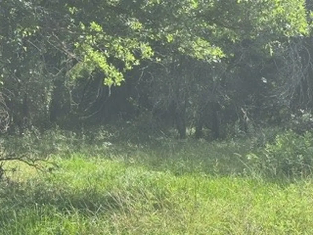 Tbd (Lot 7) Barry Road Henrietta TX 76365