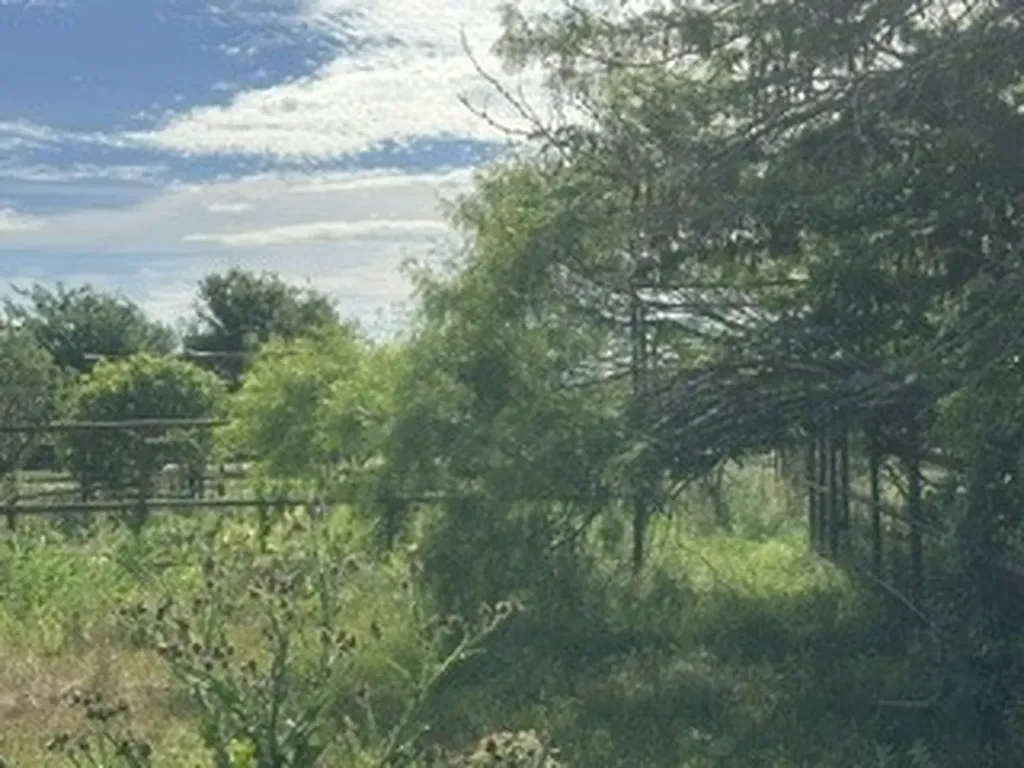 Tbd (Lot 7) Barry Road Henrietta TX 76365