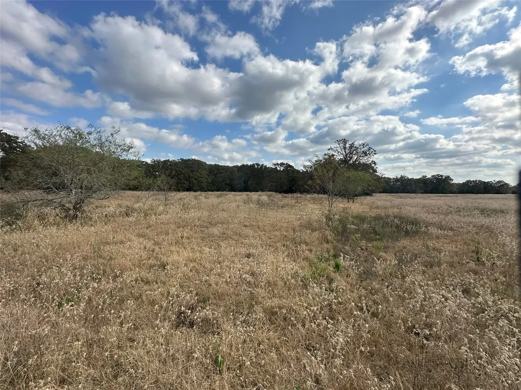 Tbd Lcr 758 Thornton TX 76687