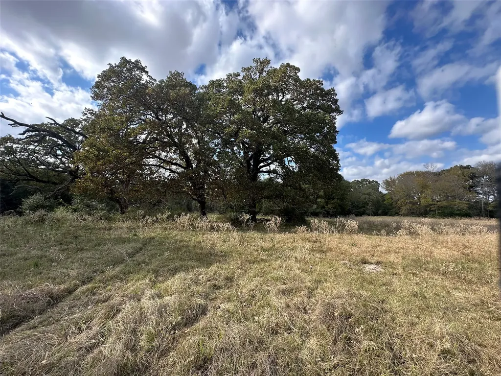 Tbd Lcr 758 Thornton TX 76687