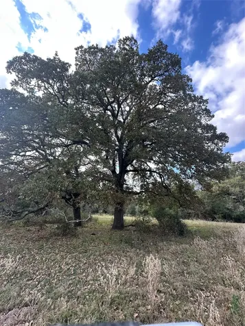 Tbd Lcr 758 Thornton TX 76687