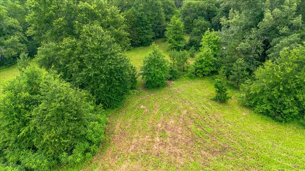 806 County Road 4910 Troup TX 75789