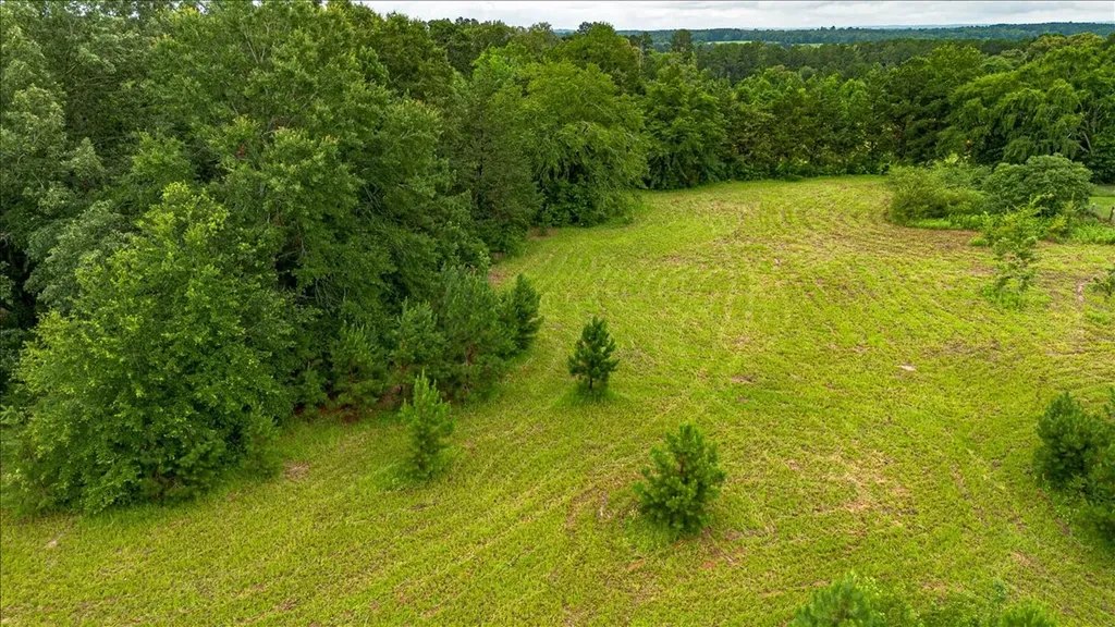 806 County Road 4910 Troup TX 75789