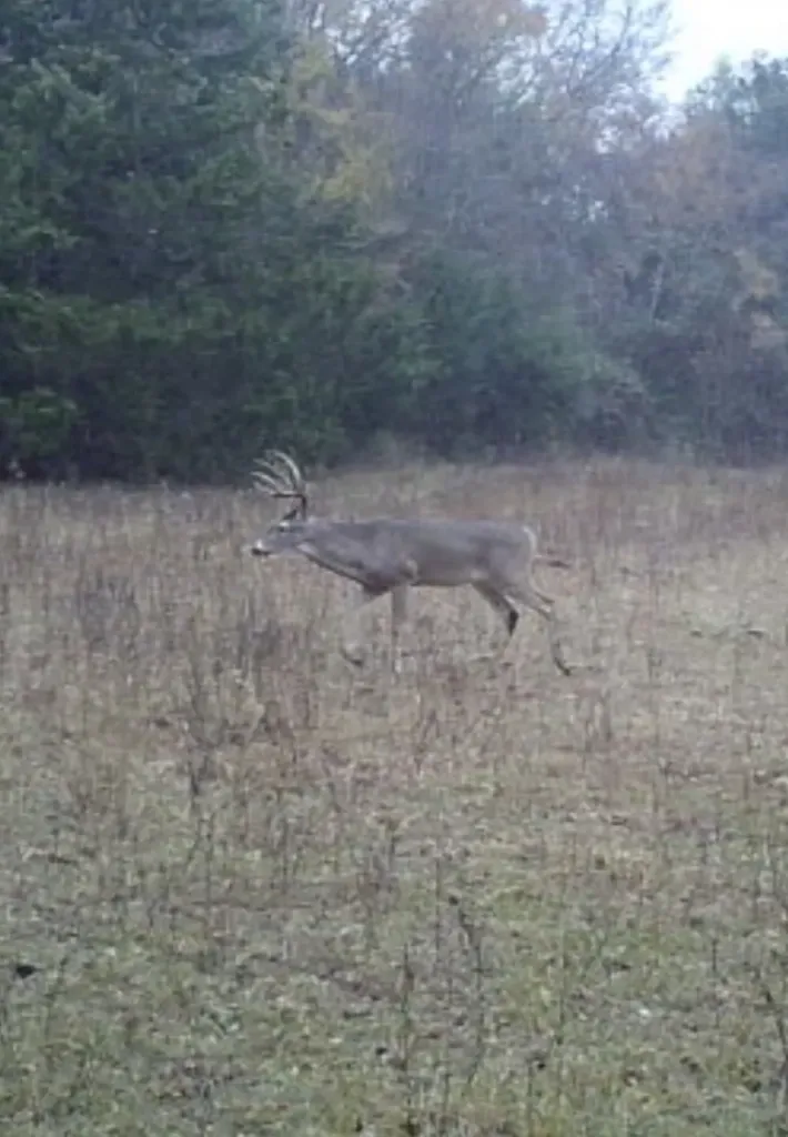 Tbd Lcr 786 Thornton TX 76687