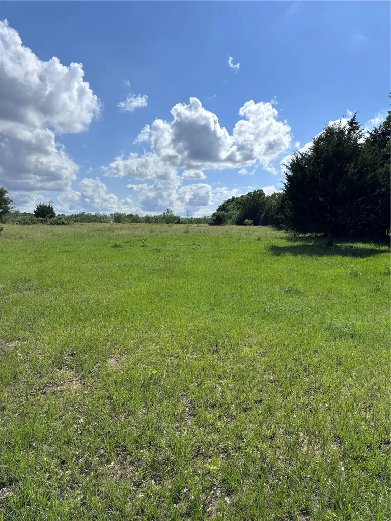 Tbd Lcr 786 Thornton TX 76687