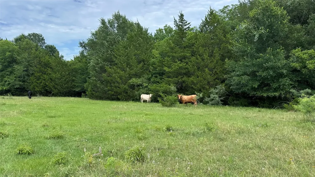 Tbd Lcr 786 Thornton TX 76687