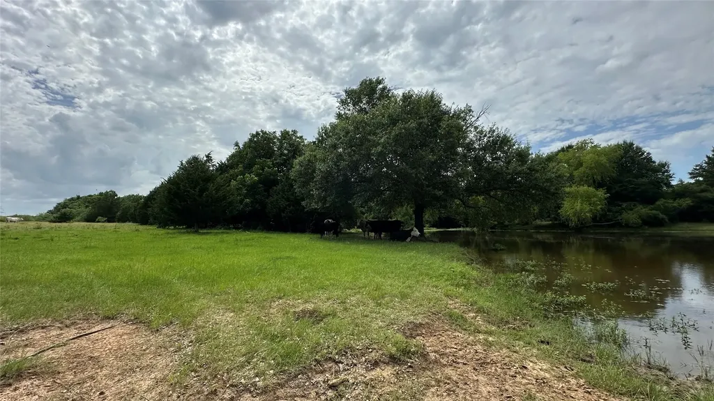 Tbd Lcr 786 Thornton TX 76687