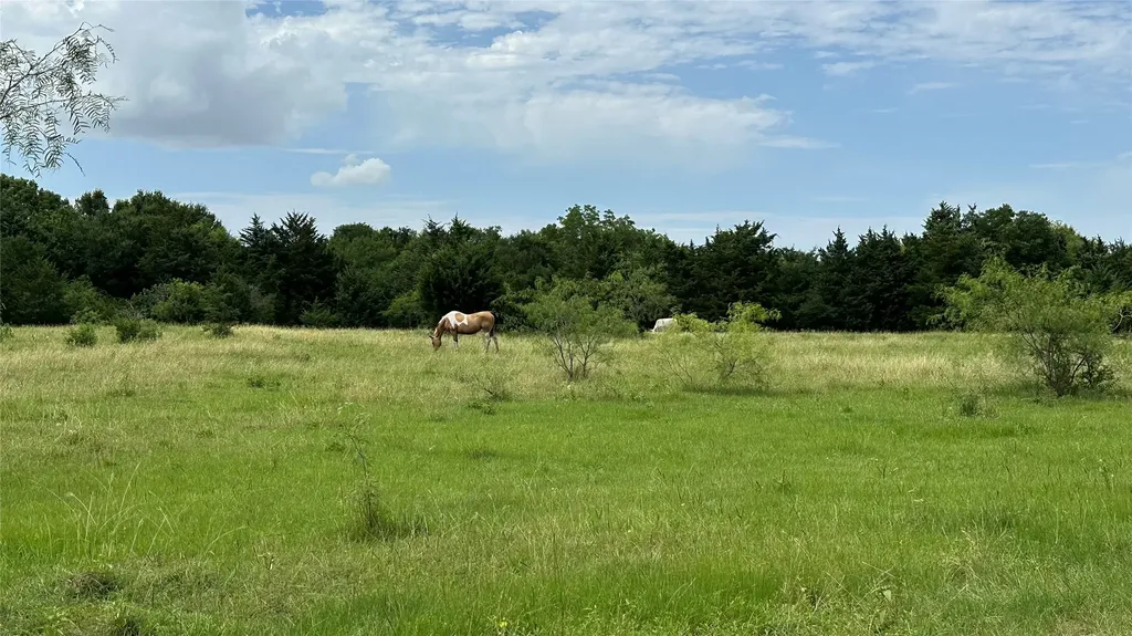 Tbd Lcr 786 Thornton TX 76687