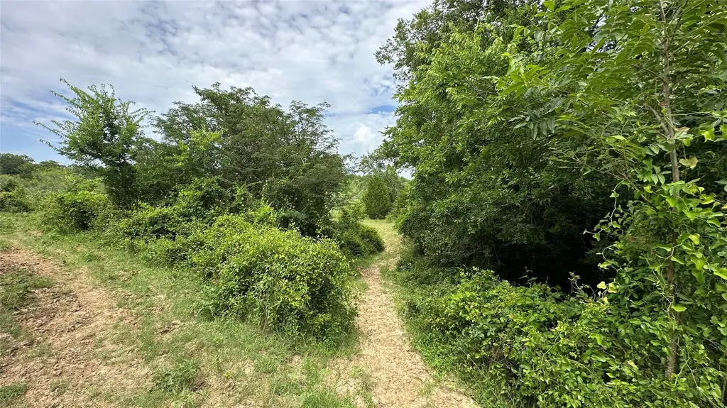 Tbd Lcr 786 Thornton TX 76687