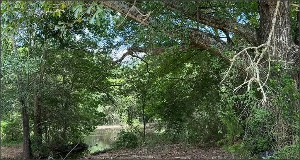 Tbd Lcr 786 Thornton TX 76687