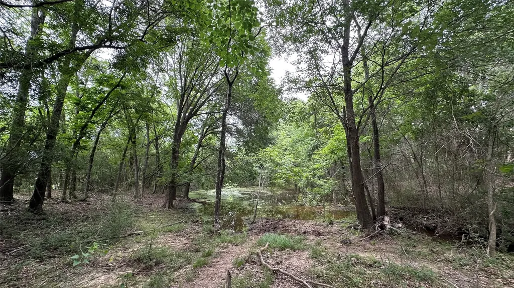 Tbd Lcr 786 Thornton TX 76687