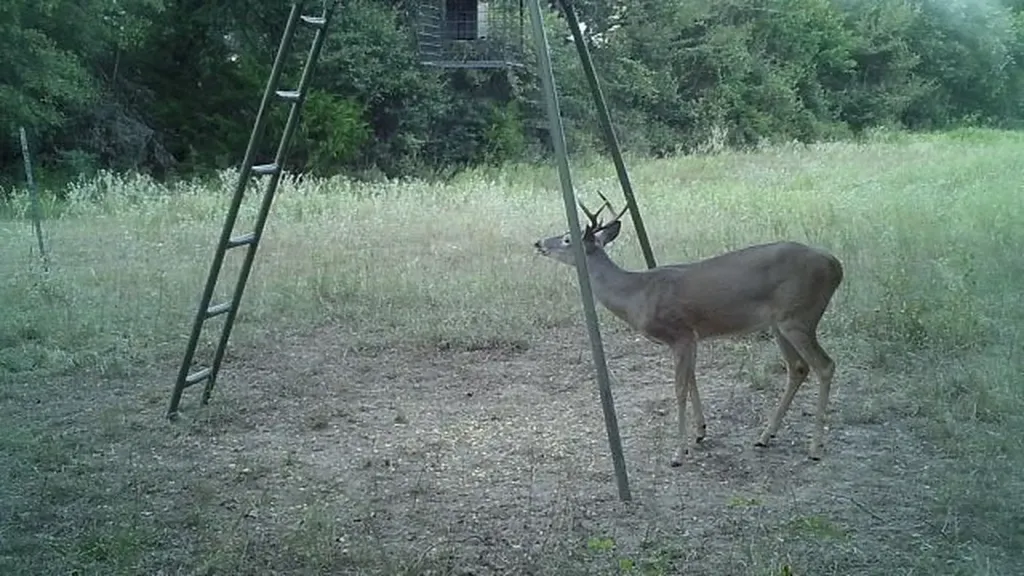 Tbd Lcr 786 Thornton TX 76687