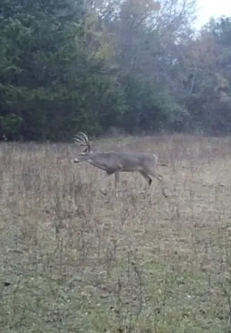 Tbd Lcr 786 Thornton TX 76687