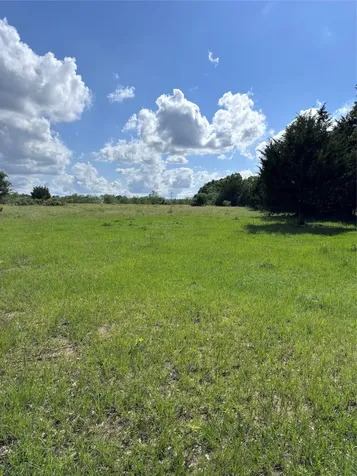 Tbd Lcr 786 Thornton TX 76687