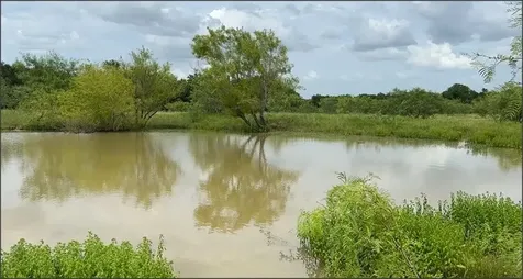 Tbd Lcr 786 Thornton TX 76687