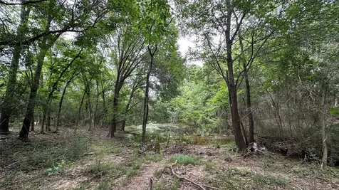 Tbd Lcr 786 Thornton TX 76687