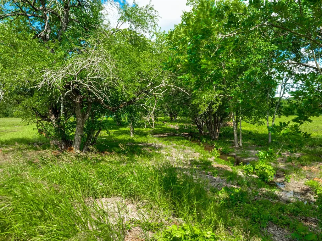9253 Us Highway 271 S Deport TX 75435