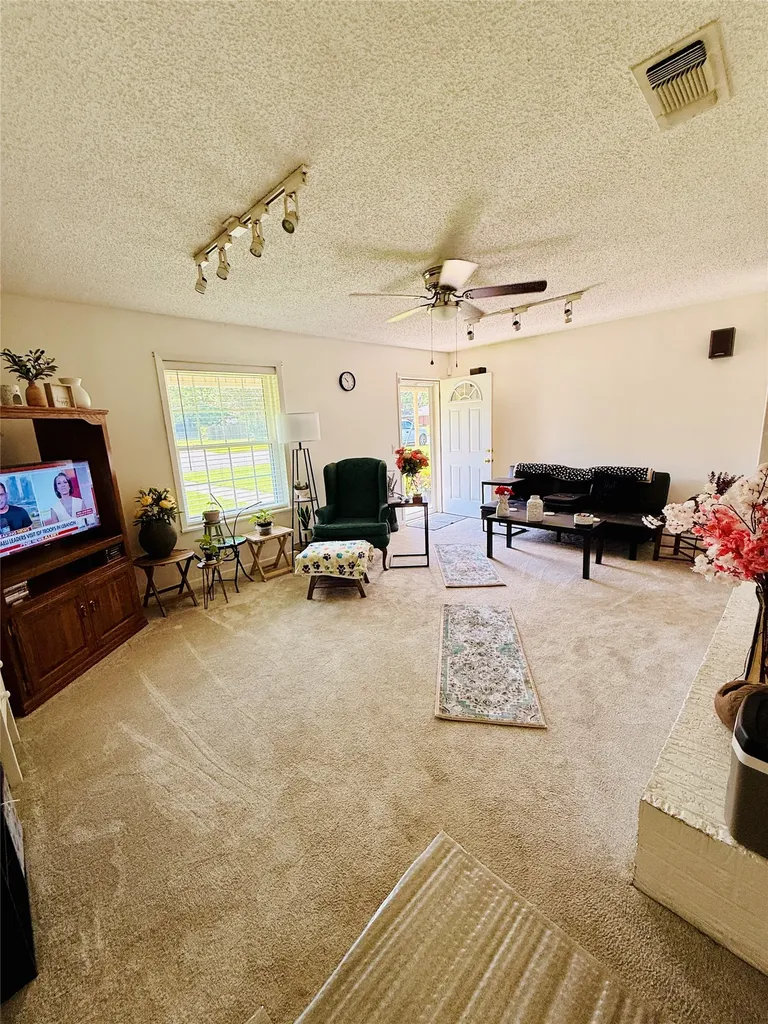 100 Vatra Street Mount Vernon TX 75457