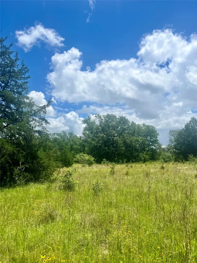 Tbd Fm 39 Groesbeck TX 76642
