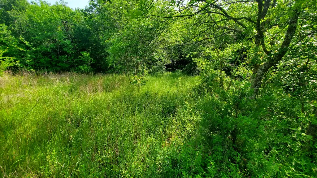 9999 Private Road Celeste TX 75423