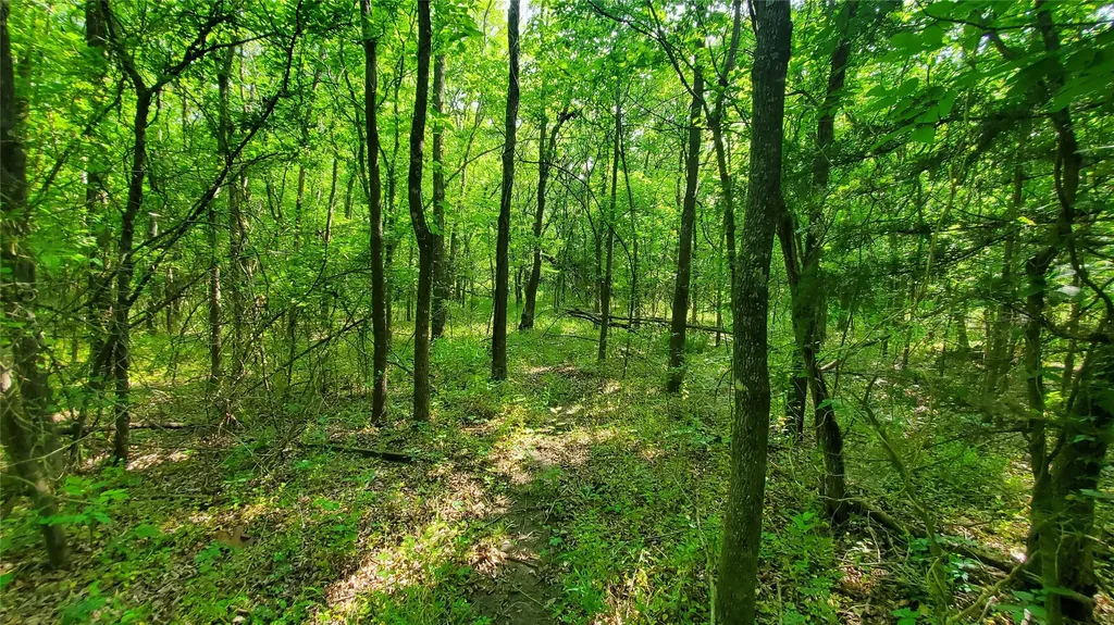 9999 Private Road Celeste TX 75423