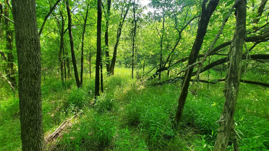 9999 Private Road Celeste TX 75423