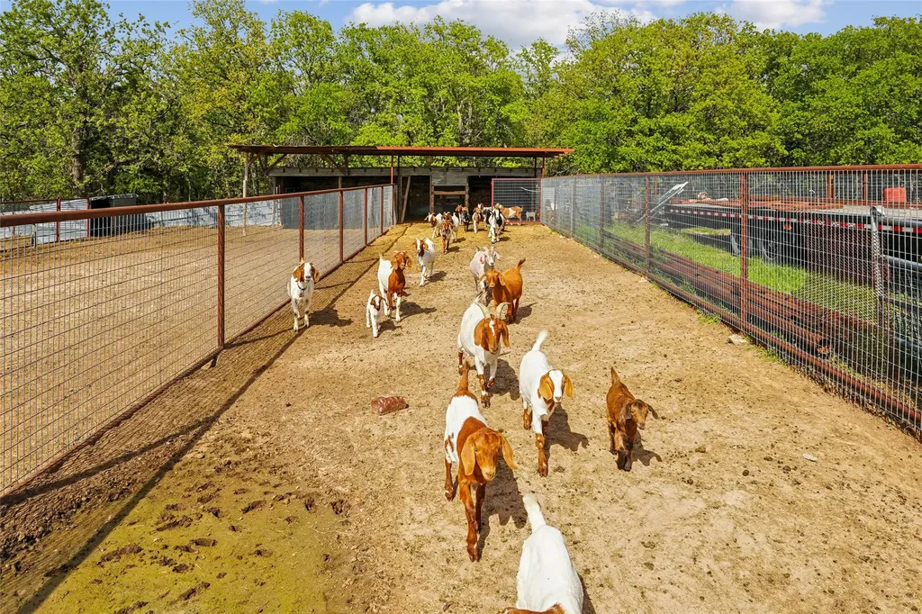 1406 N Johnson Loop Montague TX 76251