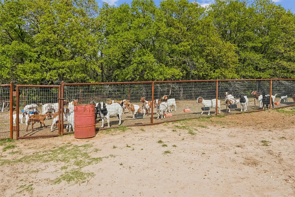 1406 N Johnson Loop Montague TX 76251