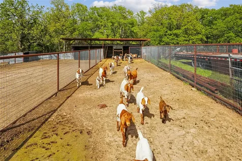 1406 N Johnson Loop Montague TX 76251