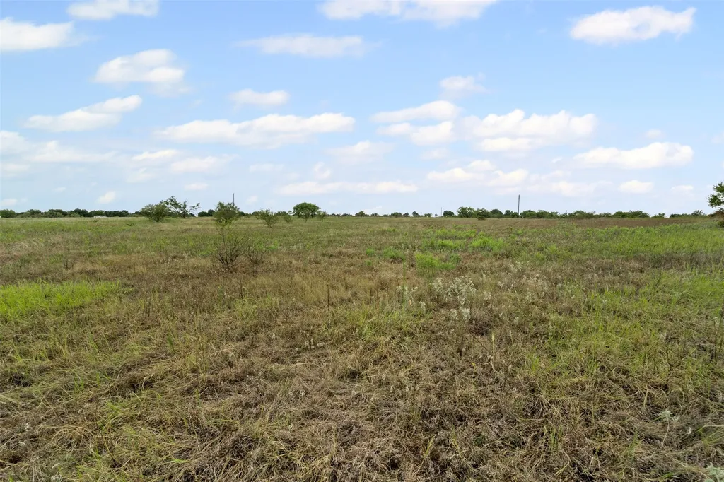 451 County Road 4975 Desdemona TX 76445