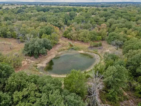 451 County Road 4975 Desdemona TX 76445