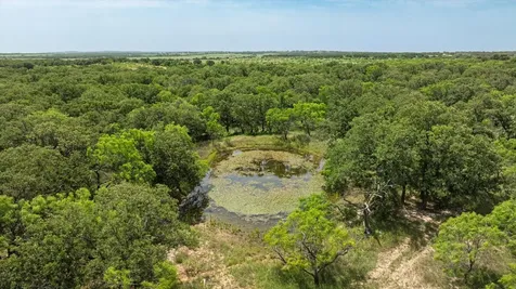 Tbd County Road 268 Rising Star TX 76471