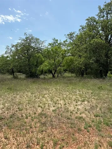 Tbd County Road 268 Rising Star TX 76471