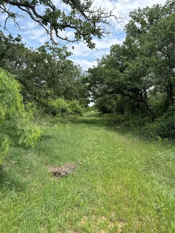 Tbd County Road 268 Rising Star TX 76471