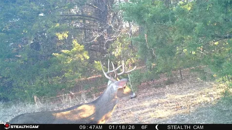 1203 County Road 4132 Cumby TX 75433