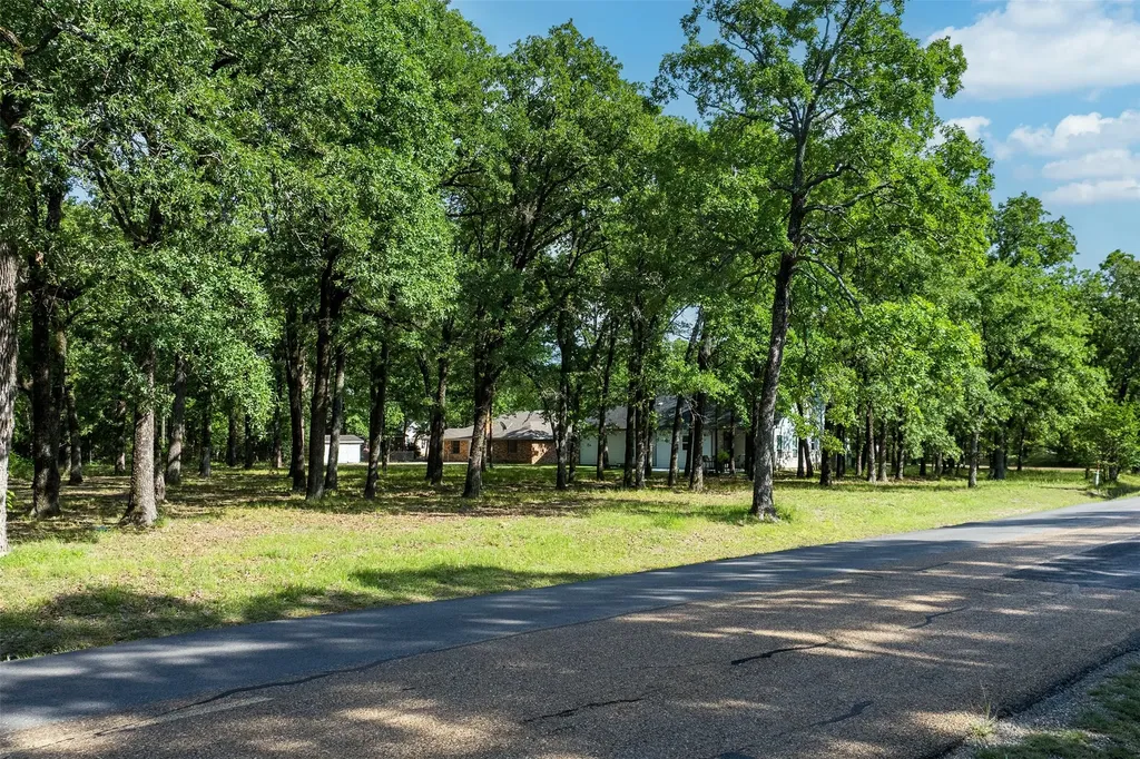 104 Lark Drive Enchanted Oaks TX 75156