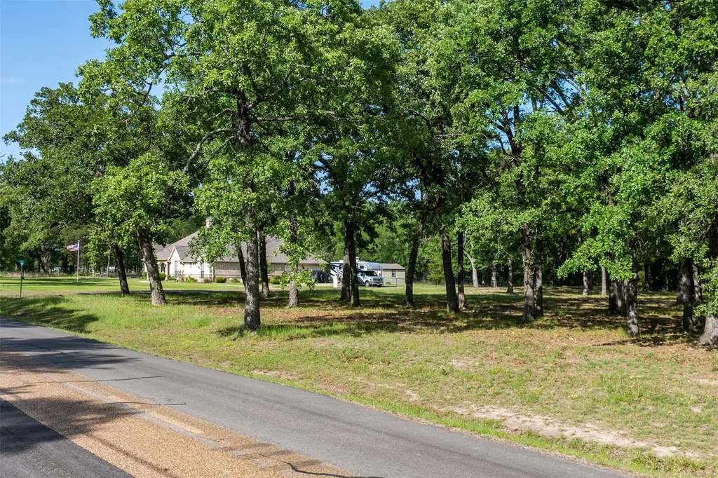 104 Lark Drive Enchanted Oaks TX 75156