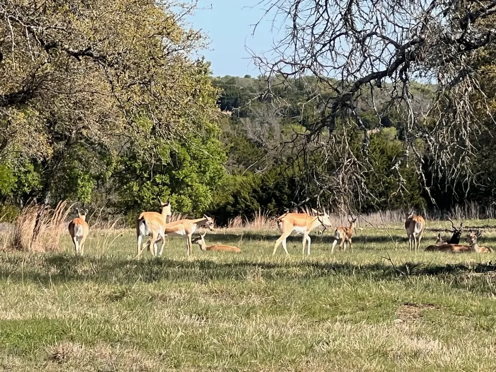 235 Private Road 2124 Meridian TX 76665