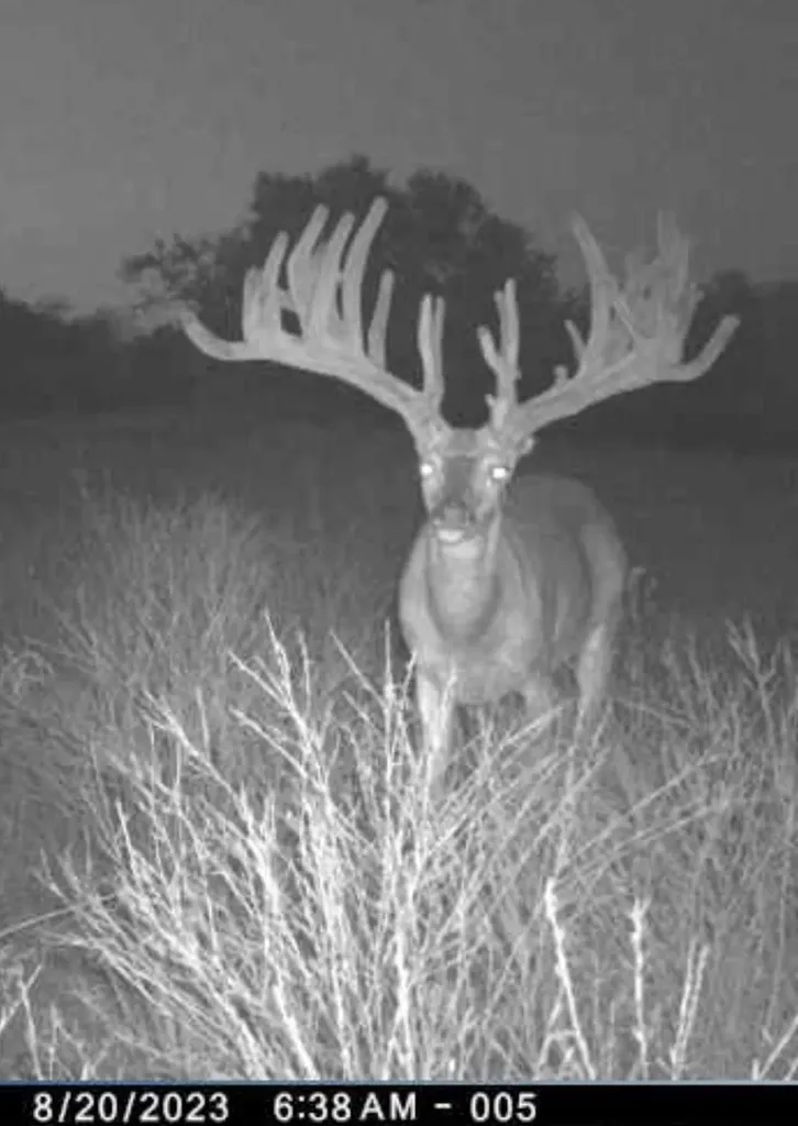 235 Private Road 2124 Meridian TX 76665