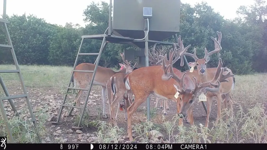 235 Private Road 2124 Meridian TX 76665