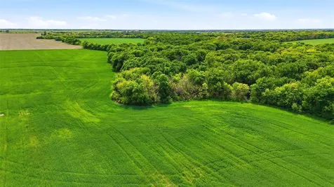 Tbd Davis Road Whitesboro TX 76273