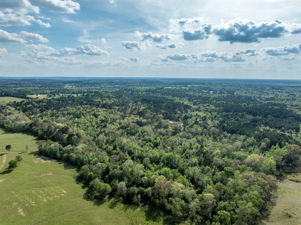 0 White Tail Road Gilmer TX 75644