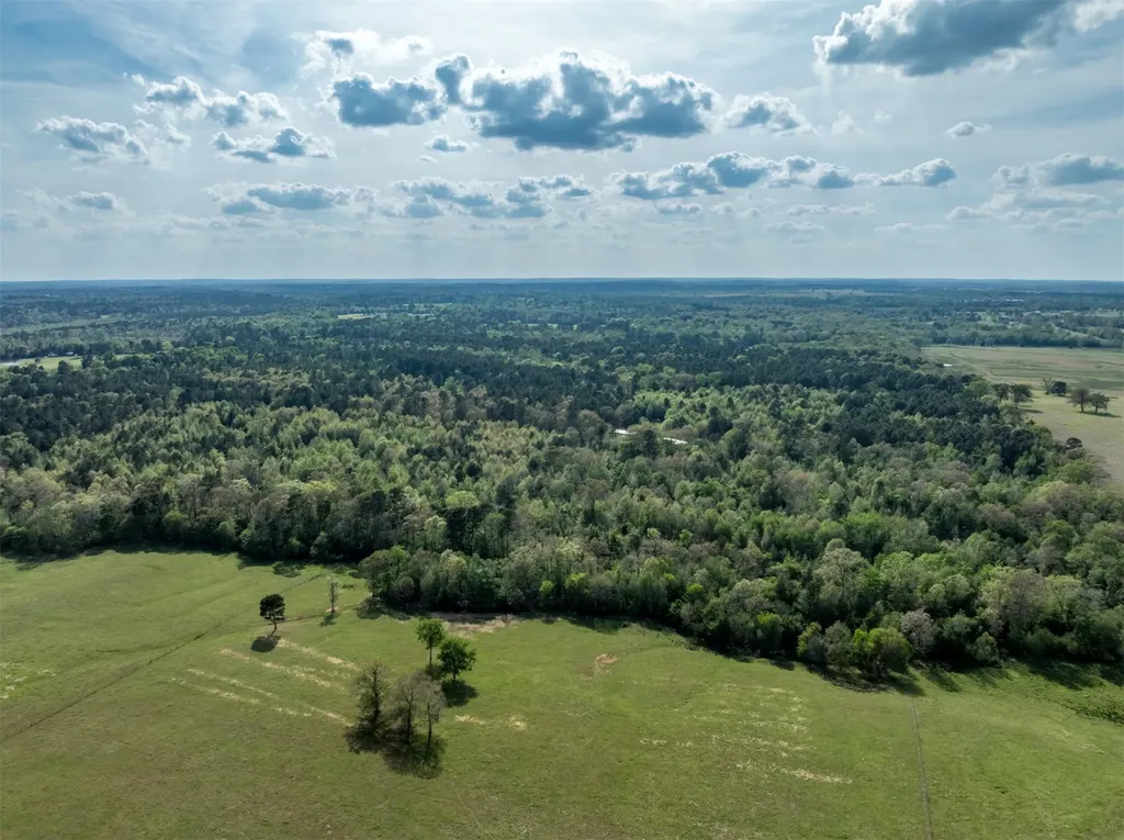 0 White Tail Road Gilmer TX 75644
