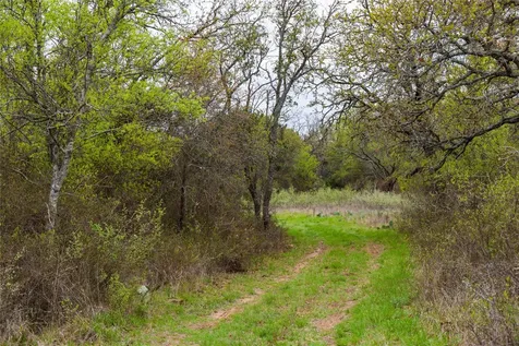 16820 County Road 429 Cross Plains TX 76443