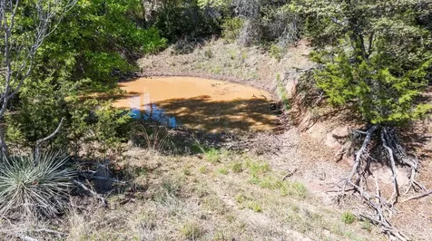 425 County Road 272 Tuscola TX 79562