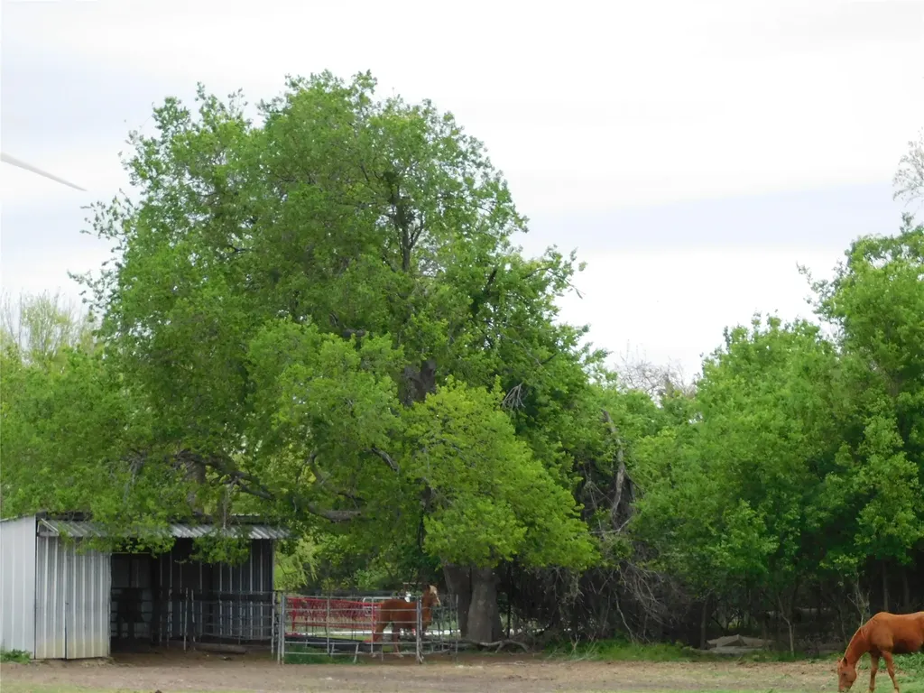 1032 Fm 936 Hubbard TX 76648