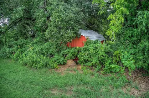 252 County Road 2431 Como TX 75431