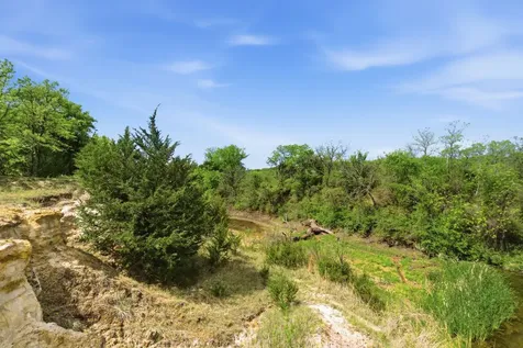 2197 Netherly Lane Forestburg TX 76239