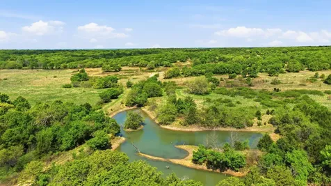 2197 Netherly Lane Forestburg TX 76239