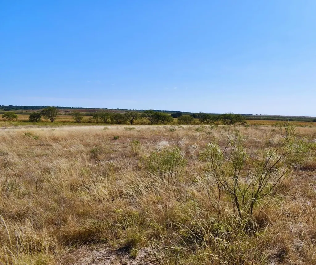 60 A Cr 144 Brady TX 76858